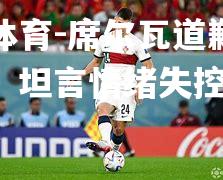 席尔瓦道歉网上表现，坦言情绪失控