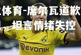 席尔瓦道歉网上表现，坦言情绪失控
